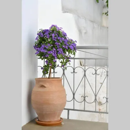 Traditionally Designed Apt For 4ppl In Lefkes Léfkesz
